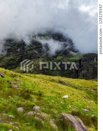 Misty mountains rise majestically in the background, while a lone sheep peacefully grazes in the foreground, a simple yet powerful image. Misty mountains rise majestically in the background, while a lone sheep peacefully grazes in the foreground, a simple yet powerful image. 128170587