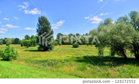 Summer landscape on the grassy bank of the river floodplain among the trees. Summer landscape on the grassy bank of the river floodplain among the trees. 128172552