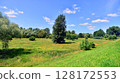 Summer landscape on the grassy bank of the river floodplain among the trees. 128172553