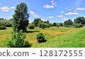Summer landscape on the grassy bank of the river floodplain among the trees. 128172555