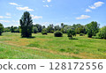 Summer landscape on the grassy bank of the river floodplain among the trees. 128172556