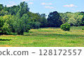 Summer landscape on the grassy bank of the river floodplain among the trees. 128172557