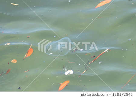 籠子 籠子 128172845