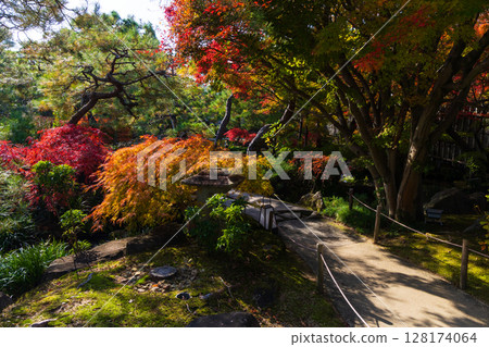 Autumn in Himeji, Hyogo Prefecture: Autumn leaves at Kokoen Garden 128174064