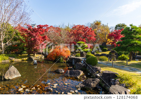 兵庫縣姬路市的秋天:好古園的紅葉 兵庫縣姬路市的秋天:好古園的紅葉 128174068
