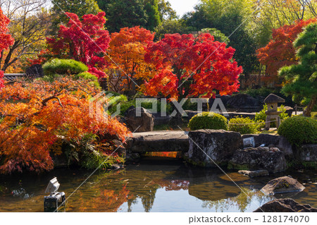 Autumn in Himeji, Hyogo Prefecture: Autumn leaves at Kokoen Garden 128174070