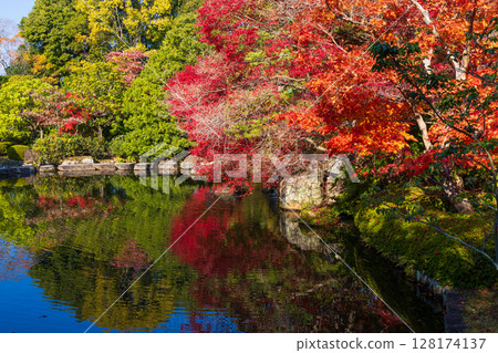 兵庫縣姬路市的秋天:好古園的紅葉 兵庫縣姬路市的秋天:好古園的紅葉 128174137