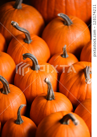 Close up of multiple orange pumpkins 128174211