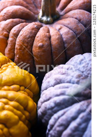 Detailed view of Black Futsu pumpkin skin in mixed tones and rough texture 128174215