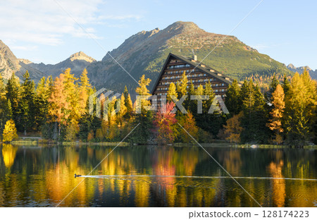 Golden autumn trees surround Strbske lake in Slovakian High Tatras 128174223