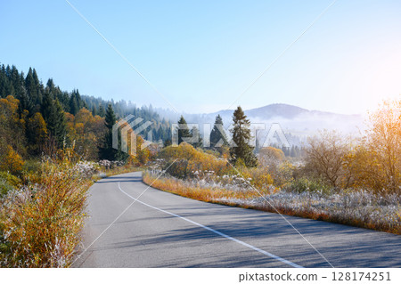 Road with foggy forest with orange trees in sunrise time Road with foggy forest with orange trees in sunrise time 128174251