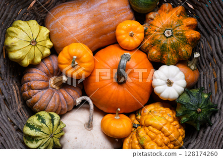 Variety of colorful pumpkins shown close up in natural autumn lighting Variety of colorful pumpkins shown close up in natural autumn lighting 128174260