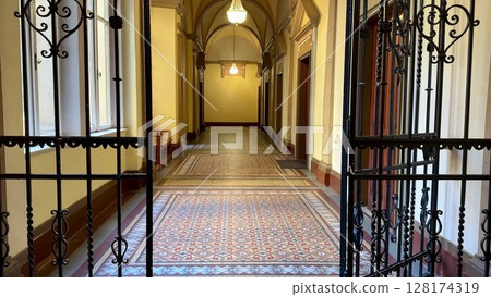 An Elegant Hallway adorned with Vintage Design and Decorative Tiles to enhance the atmosphere An Elegant Hallway adorned with Vintage Design and Decorative Tiles to enhance the atmosphere 128174319