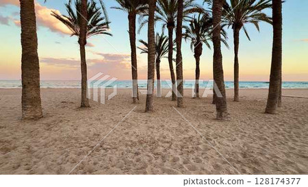 A Serene Beach Landscape Featuring Beautiful Palm Trees During a Stunning Sunset 128174377