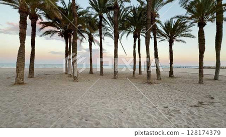 Enjoying the Serene and Beautiful Palm Trees by the Beach at Dusk when the sunset occurs Enjoying the Serene and Beautiful Palm Trees by the Beach at Dusk when the sunset occurs 128174379