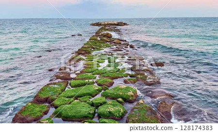 Stunning Scenic Coastal Pathway Enhanced with Lush Green Moss at Beautiful Sunset 128174383