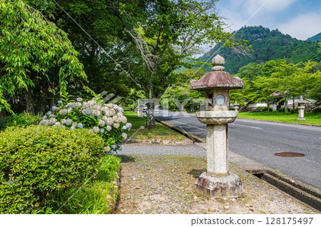 Sakamoto, a temple town near Enryakuji Temple on Mount Hiei, Otsu City, Shiga Prefecture 128175497