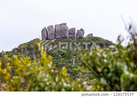 Summer scenery of Mount Koban, a World Natural Heritage site on Yakushima Island, and the strangely shaped Tofu Rocks on the summit 128175537