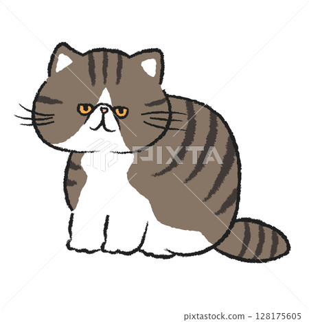 Sitting brown tabby cat/exotic shorthair 128175605