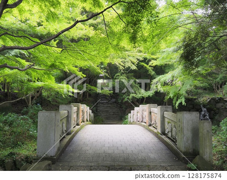 橫跨阿彌陀寺參道的觀音橋。背景是山門(山口縣防府市)。 橫跨阿彌陀寺參道的觀音橋。背景是山門(山口縣防府市)。 128175874