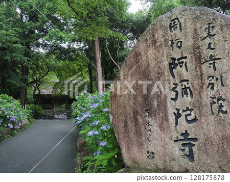 阿彌陀寺的入口。正面是仁王門（山口縣防府市） 128175878