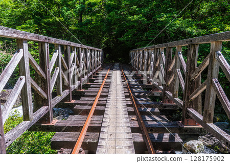 電車橋，陽光透過樹梢，屋久島國立公園（夏季） 128175902