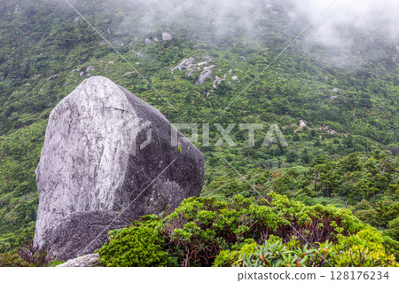 黑見嶽山頂巨石世界自然遺產屋久島（夏季） 128176234