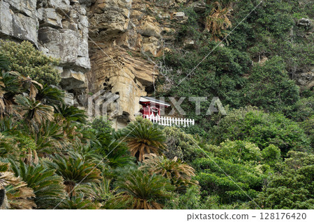 (Kushima City, Miyazaki Prefecture) The main hall of Misaki Shrine on the cliffs of Toi Cape (Kushima City, Miyazaki Prefecture) The main hall of Misaki Shrine on the cliffs of Toi Cape 128176420