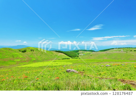 Nagano Prefecture, Kirigamine under the blue sky, view from Fujimidai Observatory Nagano Prefecture, Kirigamine under the blue sky, view from Fujimidai Observatory 128176487