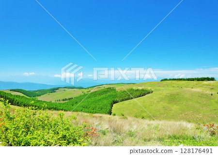 長野縣,藍天下的霧峰高原 長野縣,藍天下的霧峰高原 128176491
