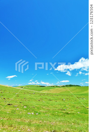 Nagano Prefecture, Utsukushigahara Plateau under the blue sky Nagano Prefecture, Utsukushigahara Plateau under the blue sky 128176504