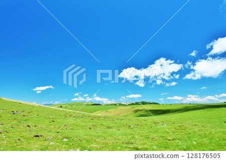 Nagano Prefecture, Utsukushigahara Plateau under the blue sky Nagano Prefecture, Utsukushigahara Plateau under the blue sky 128176505