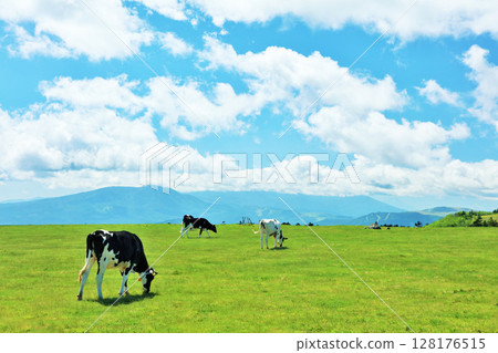 Nagano Prefecture, Utsukushigahara Plateau, blue sky farm scenery 128176515