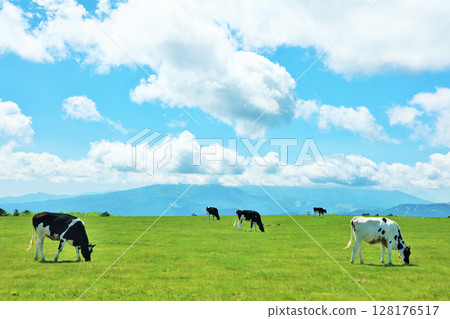 Nagano Prefecture, Utsukushigahara Plateau, blue sky farm scenery Nagano Prefecture, Utsukushigahara Plateau, blue sky farm scenery 128176517