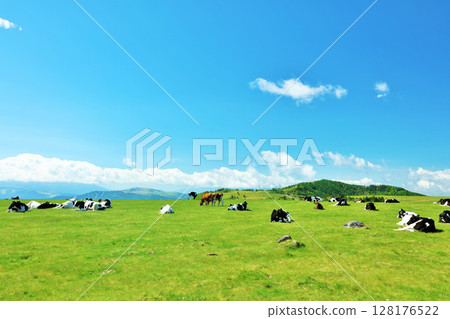 Nagano Prefecture, Utsukushigahara Plateau, blue sky farm scenery 128176522