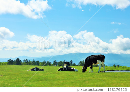Nagano Prefecture, Utsukushigahara Plateau, blue sky farm scenery Nagano Prefecture, Utsukushigahara Plateau, blue sky farm scenery 128176523