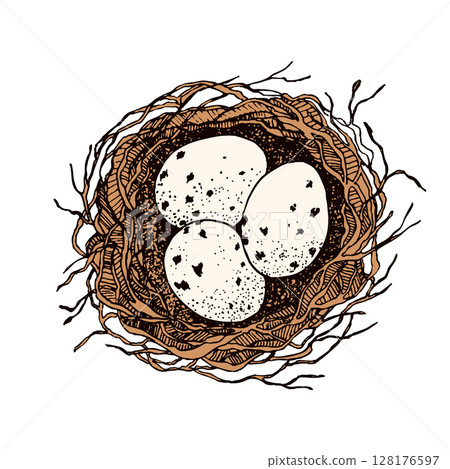 Bird nest with eggs. Easter hand drawn vector illustration, template design 128176597