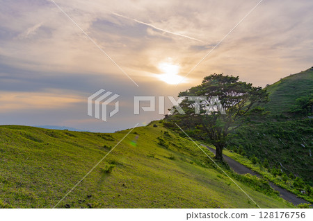 (Kusima City, Miyazaki Prefecture) Sunset at Cape Toi 128176756