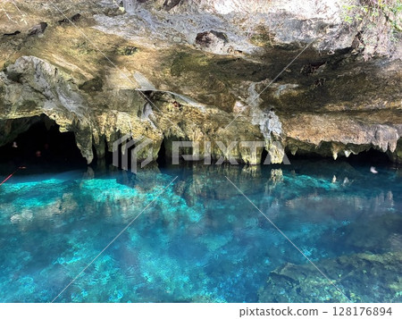 坎昆的 Gran Cenote 坎昆的 Gran Cenote 128176894