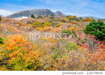 Akita: Snow-capped Mount Kurikoma and autumn foliage on the Sugawa Plateau Akita: Snow-capped Mount Kurikoma and autumn foliage on the Sugawa Plateau 128176939