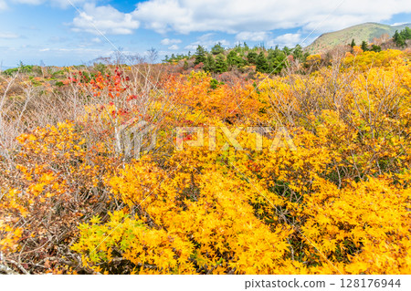 秋田縣栗駒山和菅川高原的紅葉 秋田縣栗駒山和菅川高原的紅葉 128176944