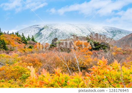 Akita: Snow-capped Mount Kurikoma and autumn foliage on the Sugawa Plateau 128176945