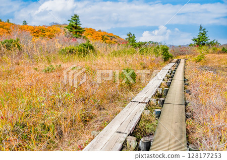 Autumn leaves at Mount Kurikoma and the Sugawa Plateau in Akita - Nagorigahara 128177253