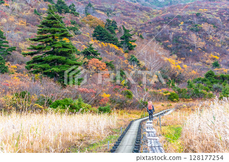 秋田栗駒山和菅川高原的紅葉 - 名戸原 128177254