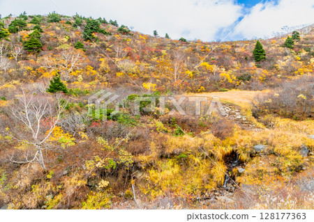 Autumn leaves at Mount Kurikoma and Sugawa Plateau in Akita Autumn leaves at Mount Kurikoma and Sugawa Plateau in Akita 128177363