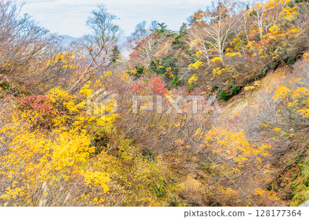 Autumn leaves at Mount Kurikoma and Sugawa Plateau in Akita 128177364