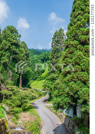 比叡山坂本纜車坂本站附近的山林風景 比叡山坂本纜車坂本站附近的山林風景 128177393