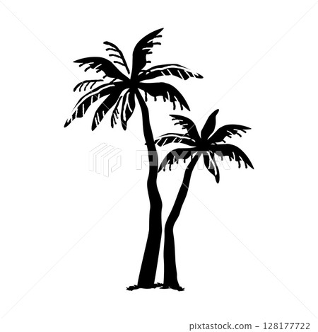 棕櫚樹剪影 128177722