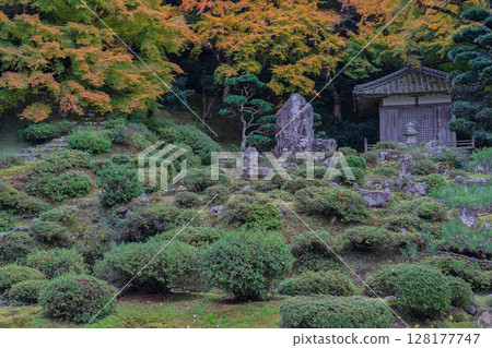 秋葉最盛時節,拍攝福井縣小濱市高野山真言宗萬德寺 秋葉最盛時節,拍攝福井縣小濱市高野山真言宗萬德寺 128177747