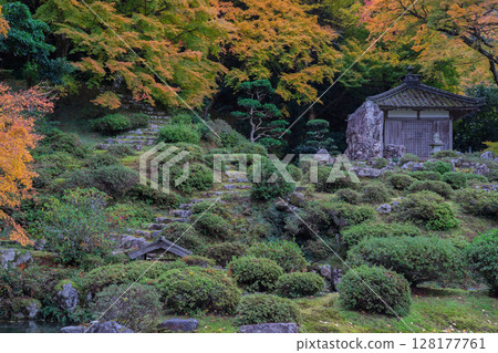 秋葉最盛時節,拍攝福井縣小濱市高野山真言宗萬德寺 秋葉最盛時節,拍攝福井縣小濱市高野山真言宗萬德寺 128177761